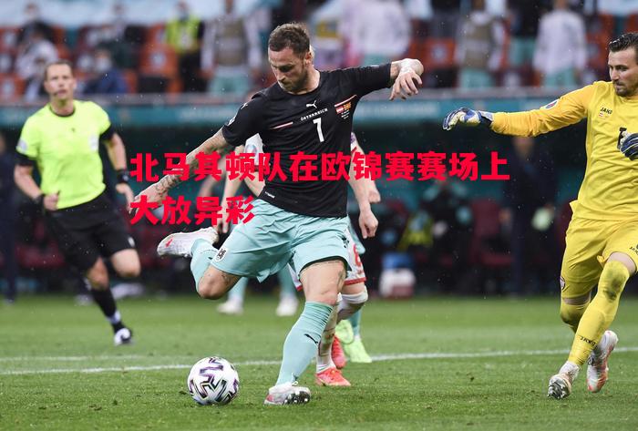 北马其顿队在欧锦赛赛场上大放异彩 北马其顿队在欧锦赛赛场上大放异彩